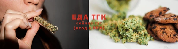 индика Арсеньев