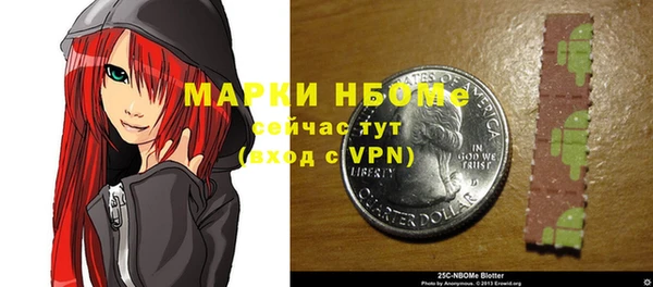индика Арсеньев